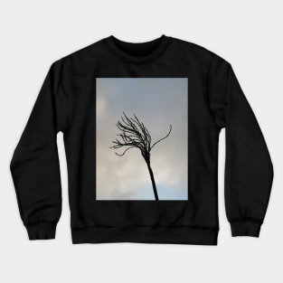 Root Crewneck Sweatshirt